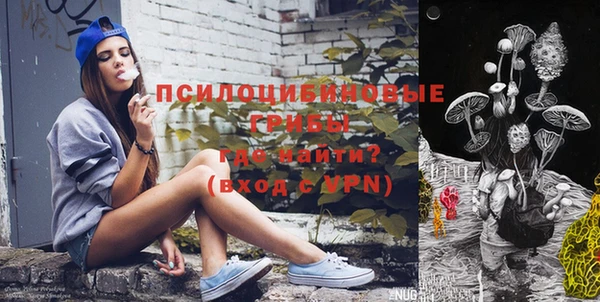 бошки Бородино