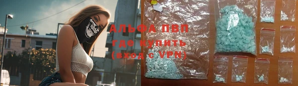 бошки Бородино