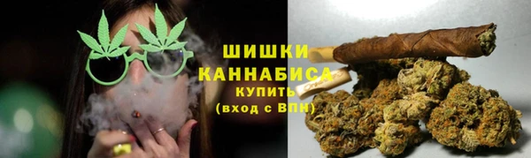 бошки Бородино