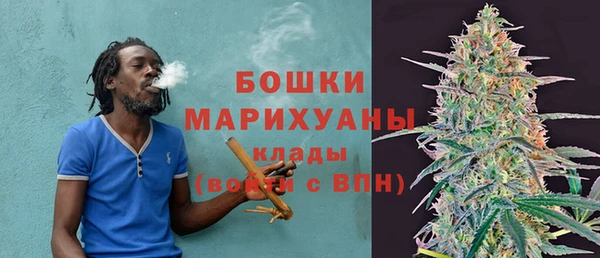 стафф Бронницы