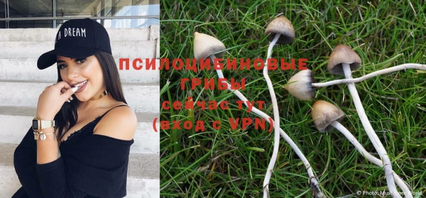 стафф Бронницы