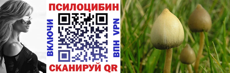 это наркотические препараты  где купить наркоту  Пенза  Галлюциногенные грибы Psilocybe 